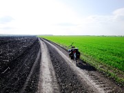 Пашня и озимые весной в Шигонском районе